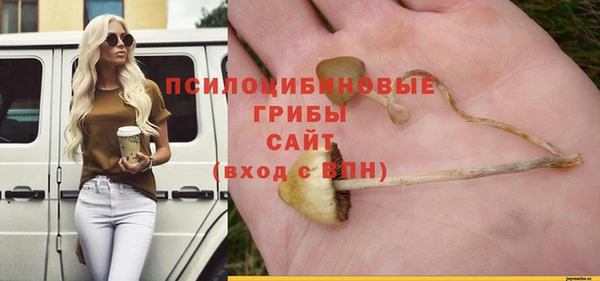 a pvp Усмань
