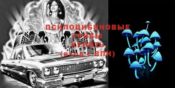 синтетический гашиш Гусиноозёрск