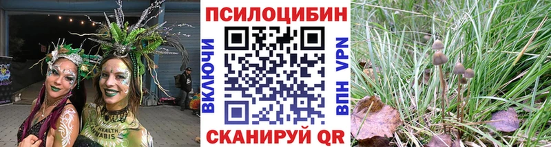 купить наркотик  Ростов  Галлюциногенные грибы мухоморы 